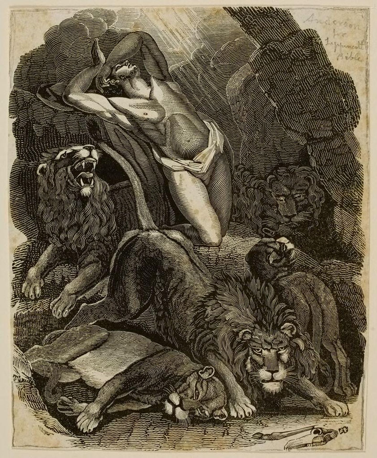 Daniel in the Lion's Den by Alexander Anderson