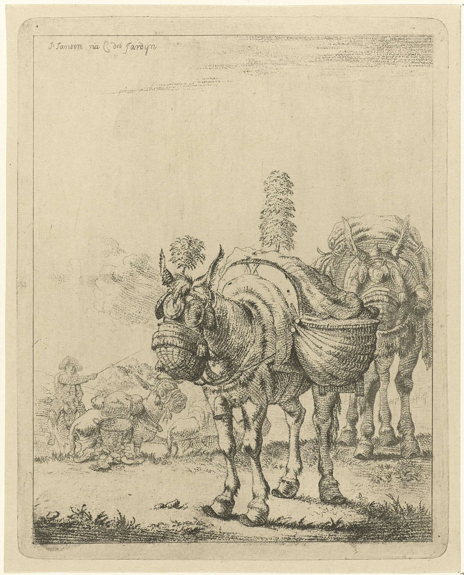 Twee bepakte muilezels by Johannes Janson
