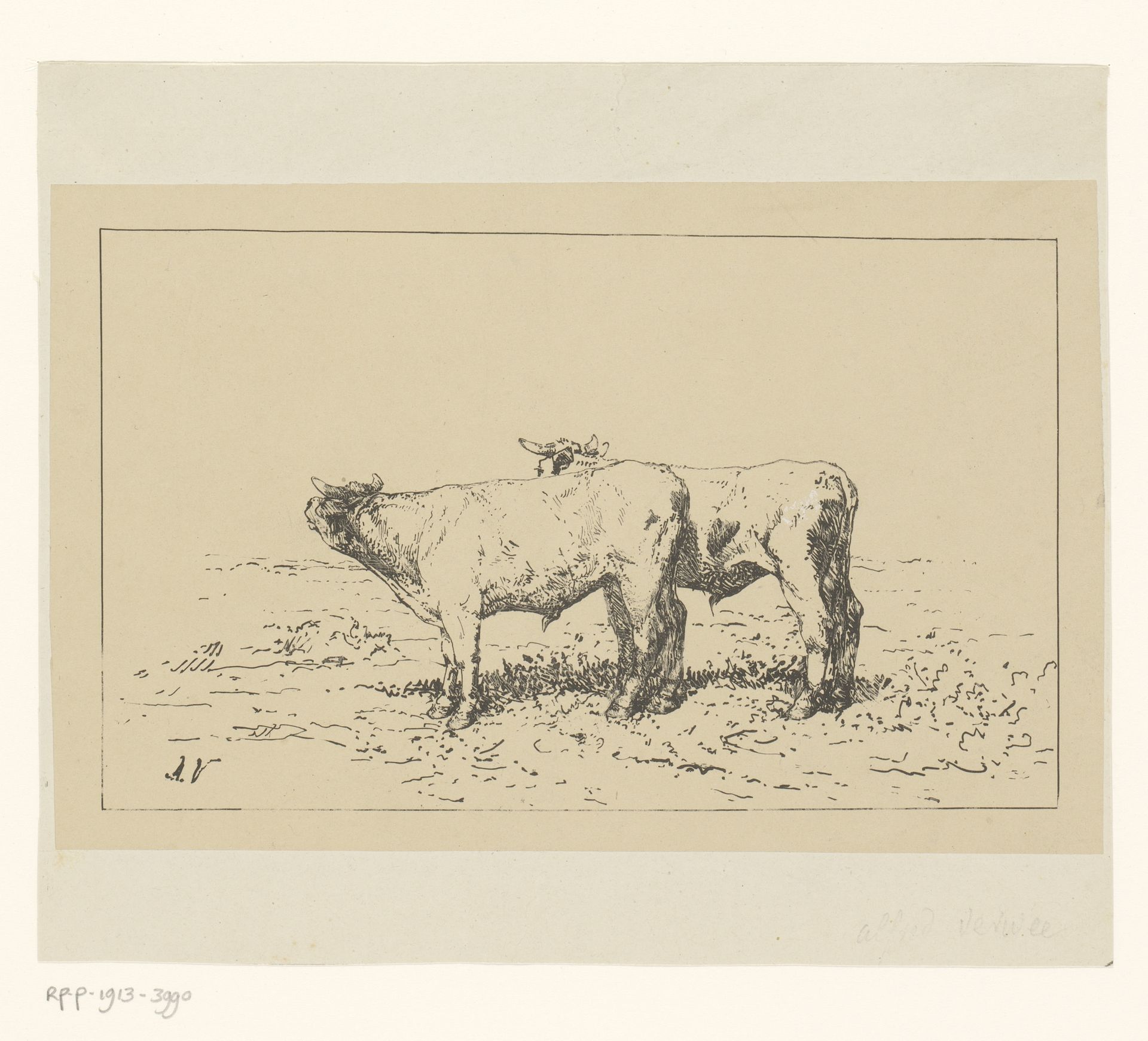 Twee runderen by Alfred Verwee