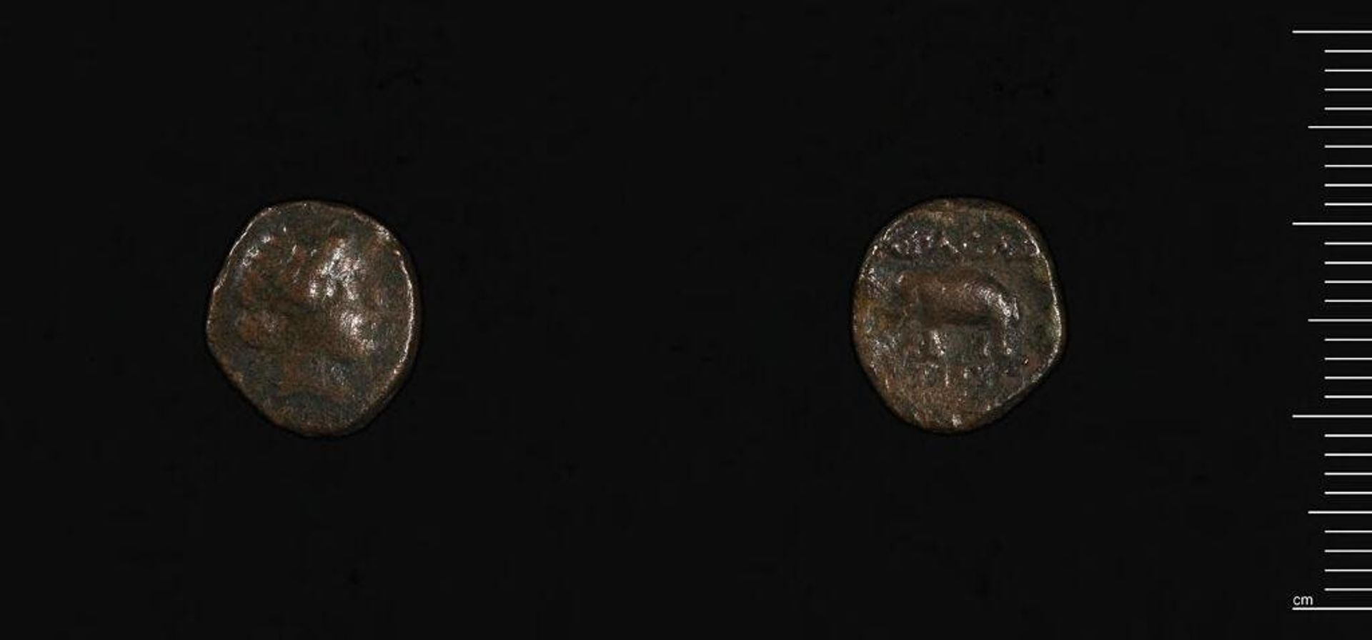 Coin of Antiochos III, the Great of Syria by Antiochos III the Great