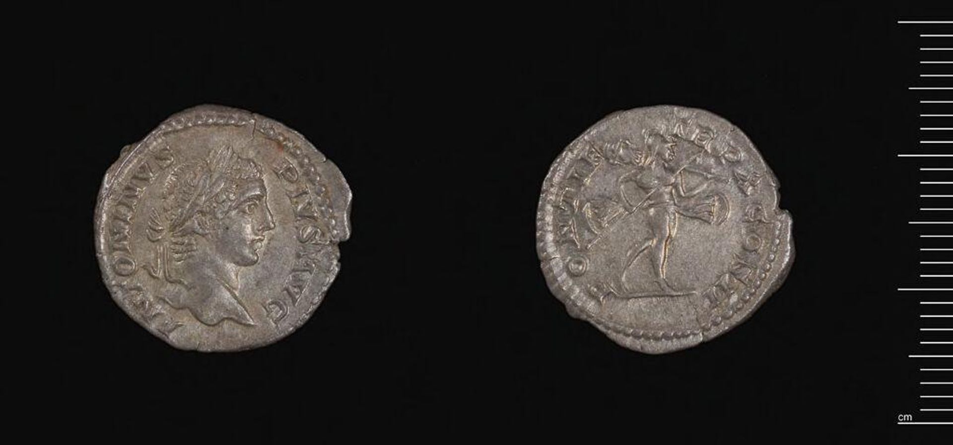 Denarius of Septimius Severus by Septimius Severus