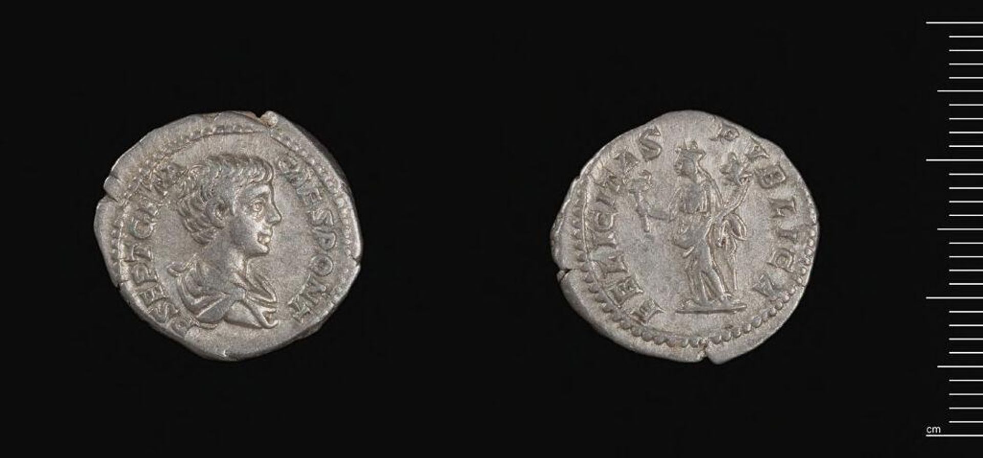 Denarius of Septimius Severus by Septimius Severus