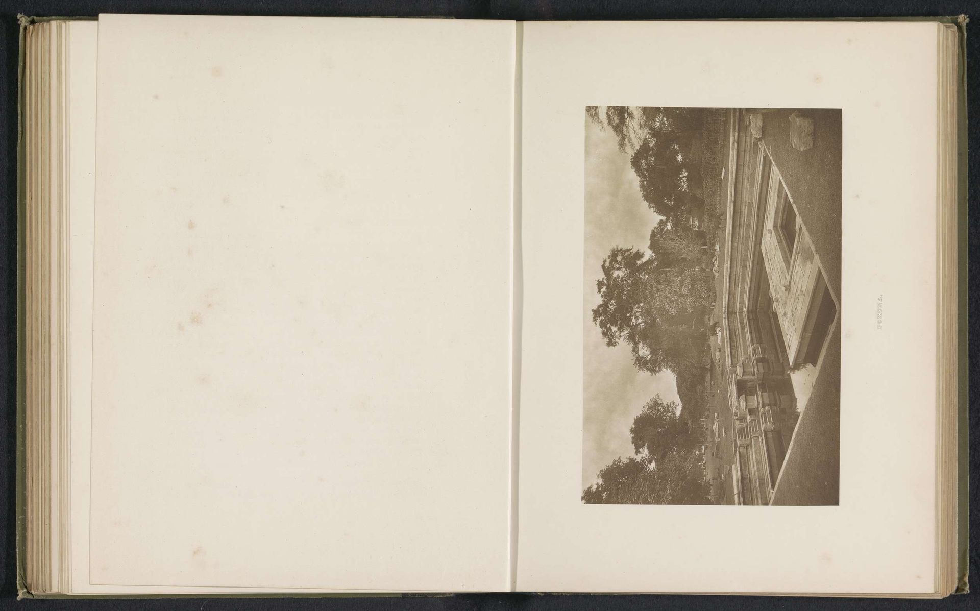 Pokuna by Henry William Cave