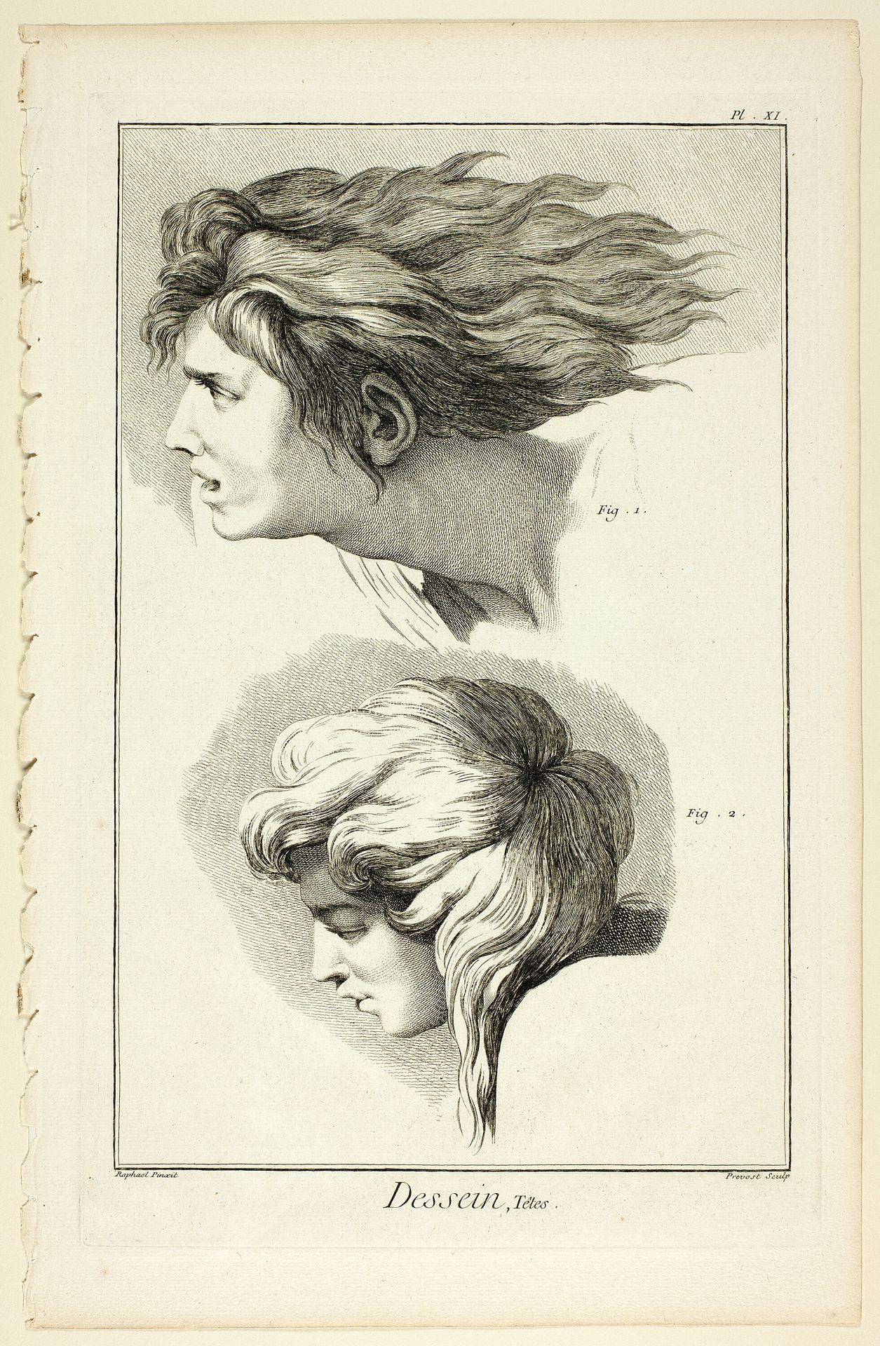 Design: Heads, from Encyclopédie by Benoit Louis Prevost