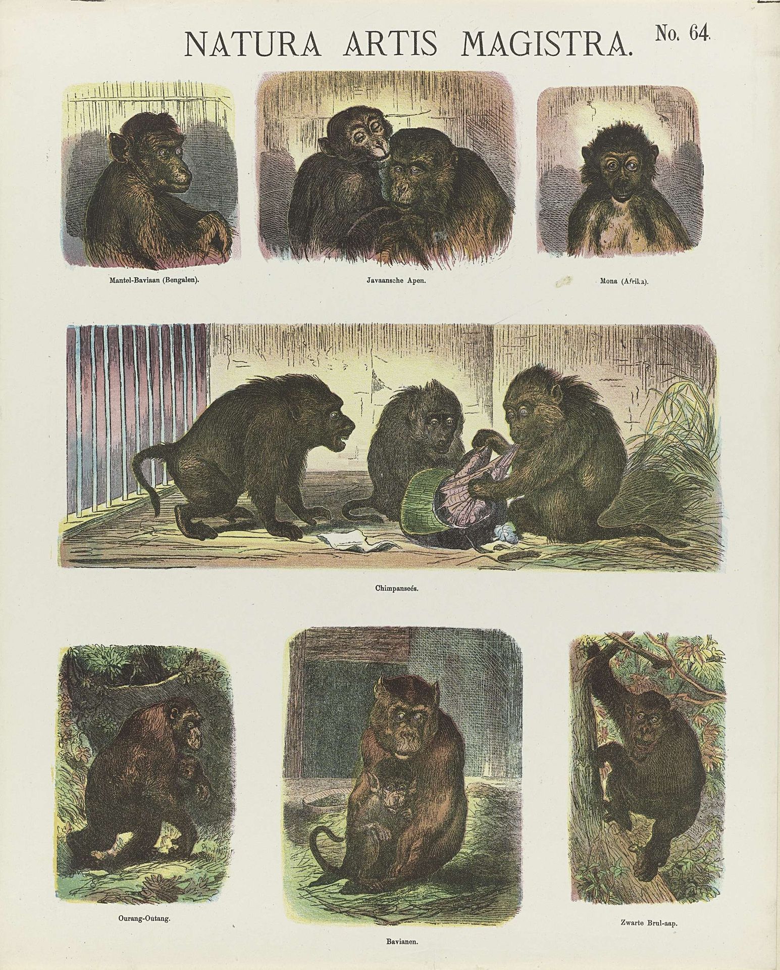 Natura artis magistra by De Ruyter & Meijer