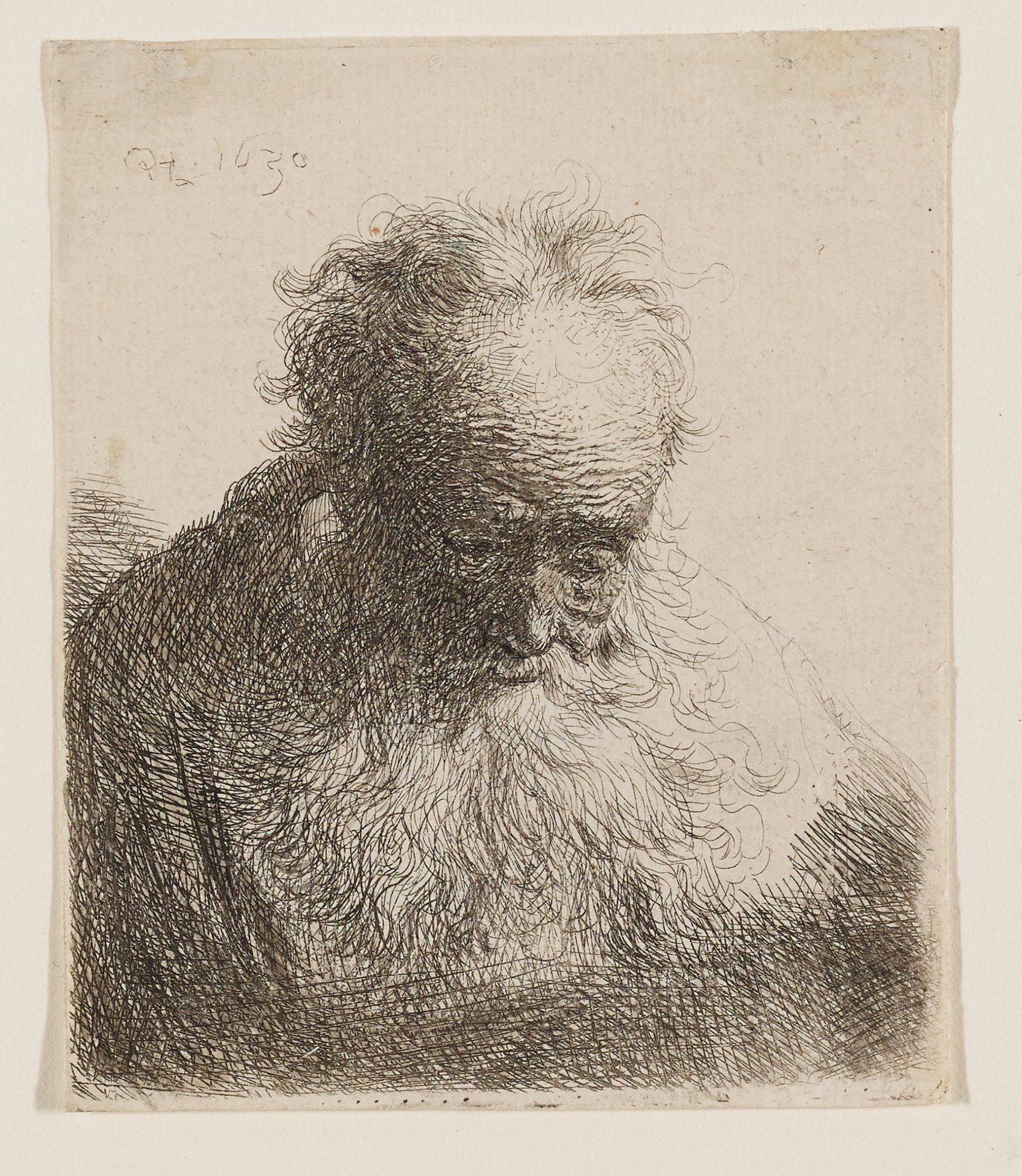 Old Man with Flowing Beard (head bowed forward by Rembrandt van Rijn