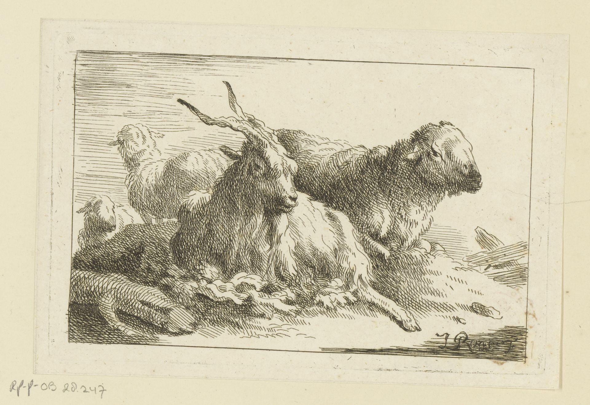 Geit en drie schapen by Joseph (I) Roos