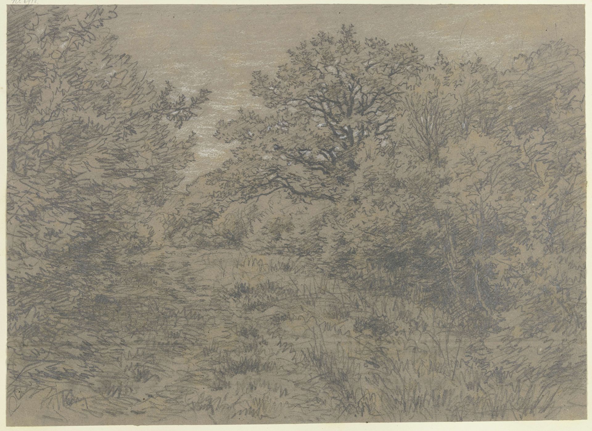 Forest section with path by Jakob Maurer