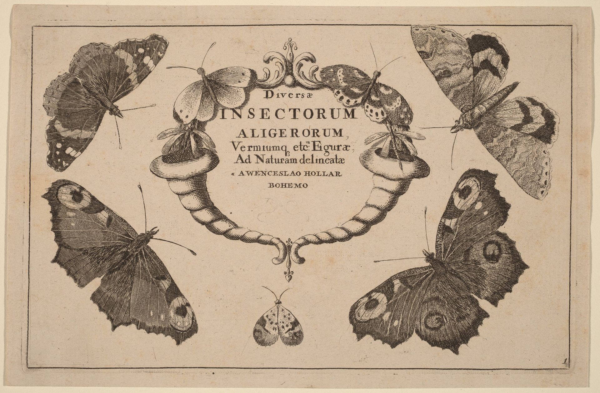 Title Page by Wenceslaus Hollar