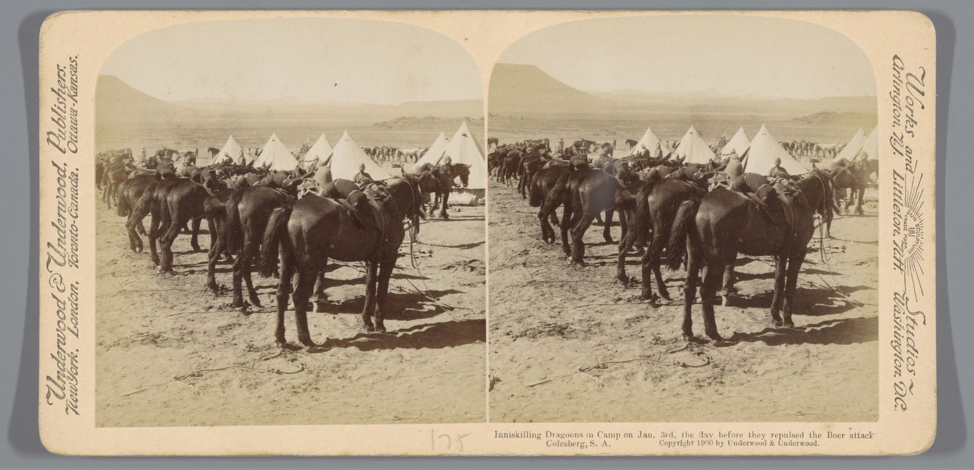 Kamp met paarden van vermoedelijk het Brits leger in Colesberg in Zuid Afrika by Underwood & Underwood