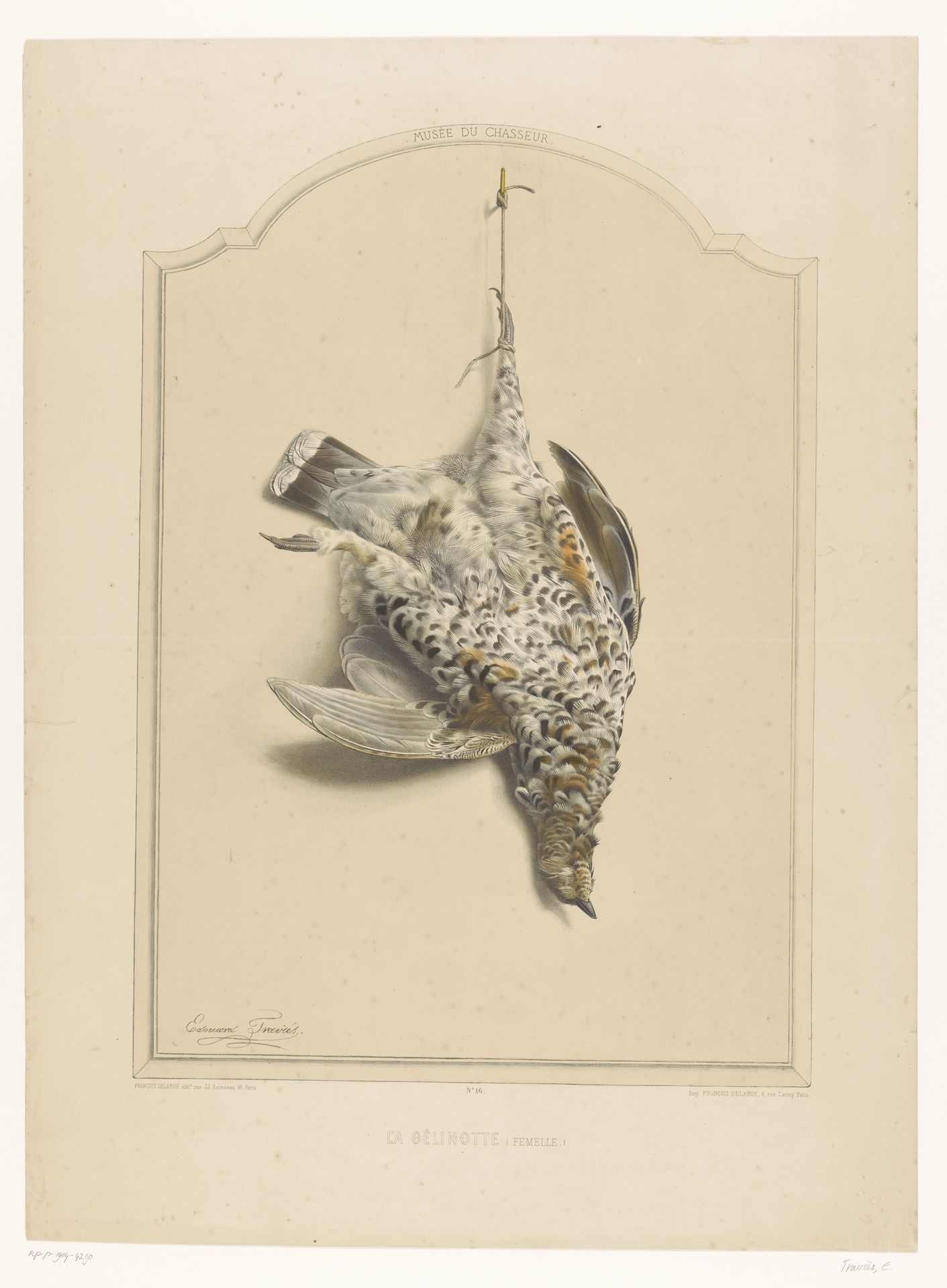 Dode vrouwelijke hazelhoen (Bonasia bonasia) hangend aan een poot by Édouard Traviès