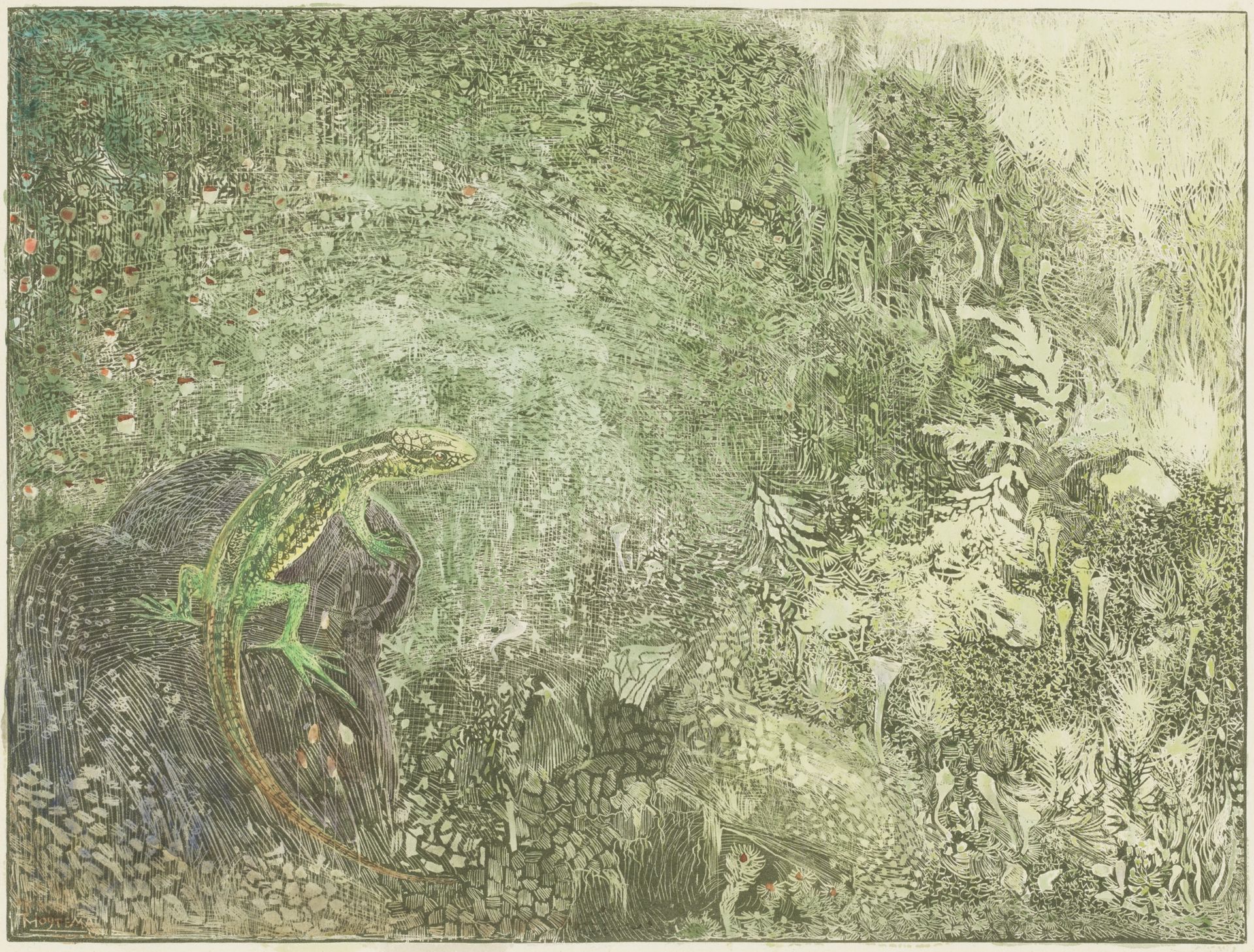 Hagedis op een steen by Theo van Hoytema