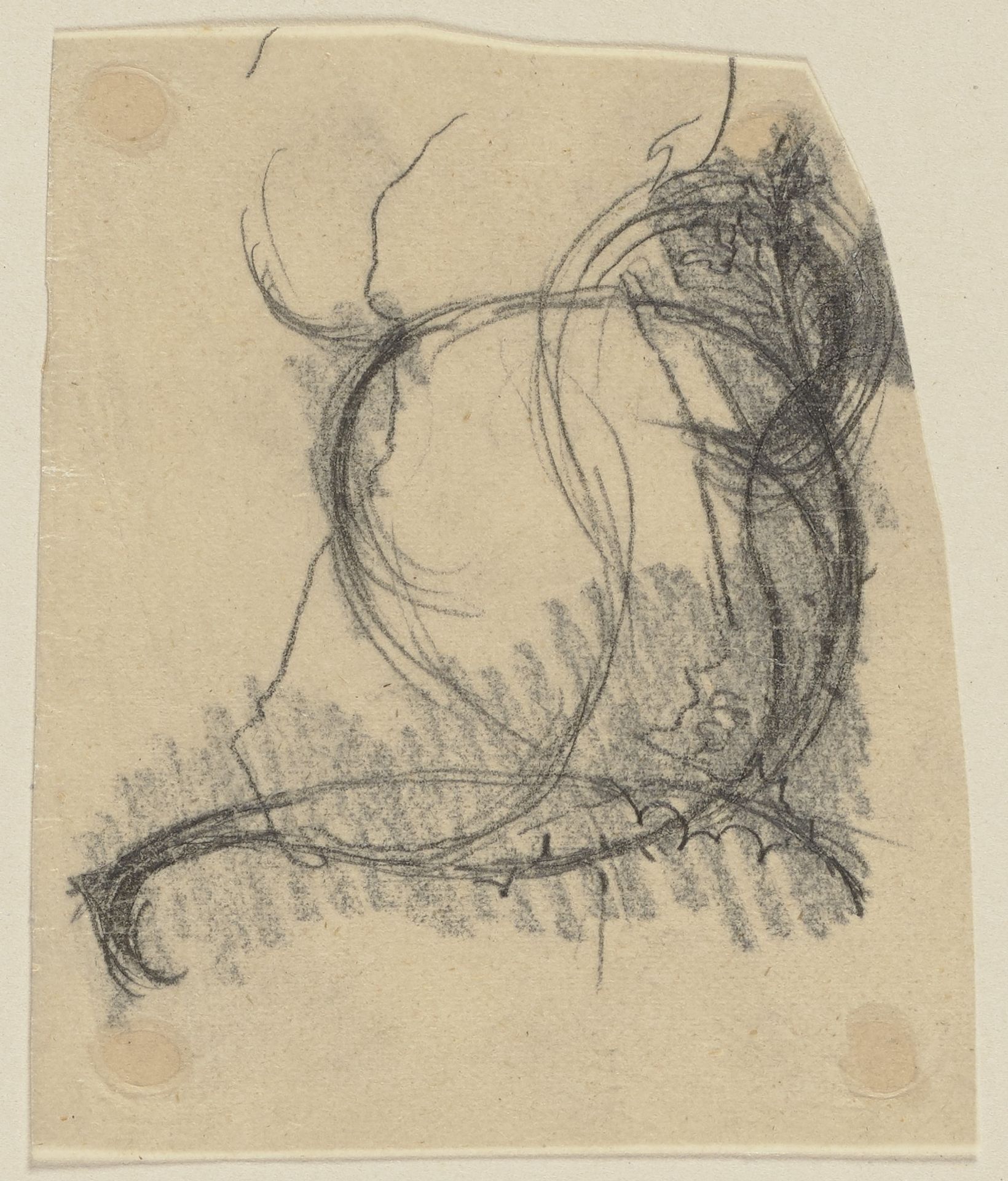 Hermia's flower tendril by Paul Konewka