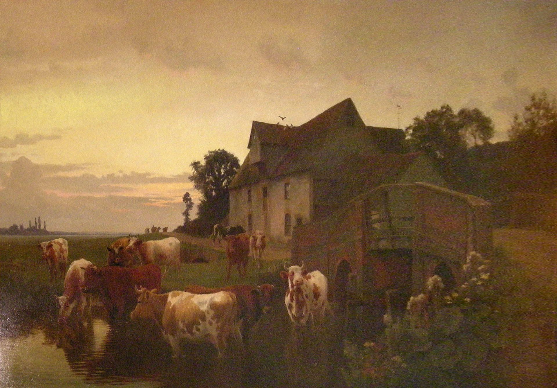 Cattle by William Sidney Cooper