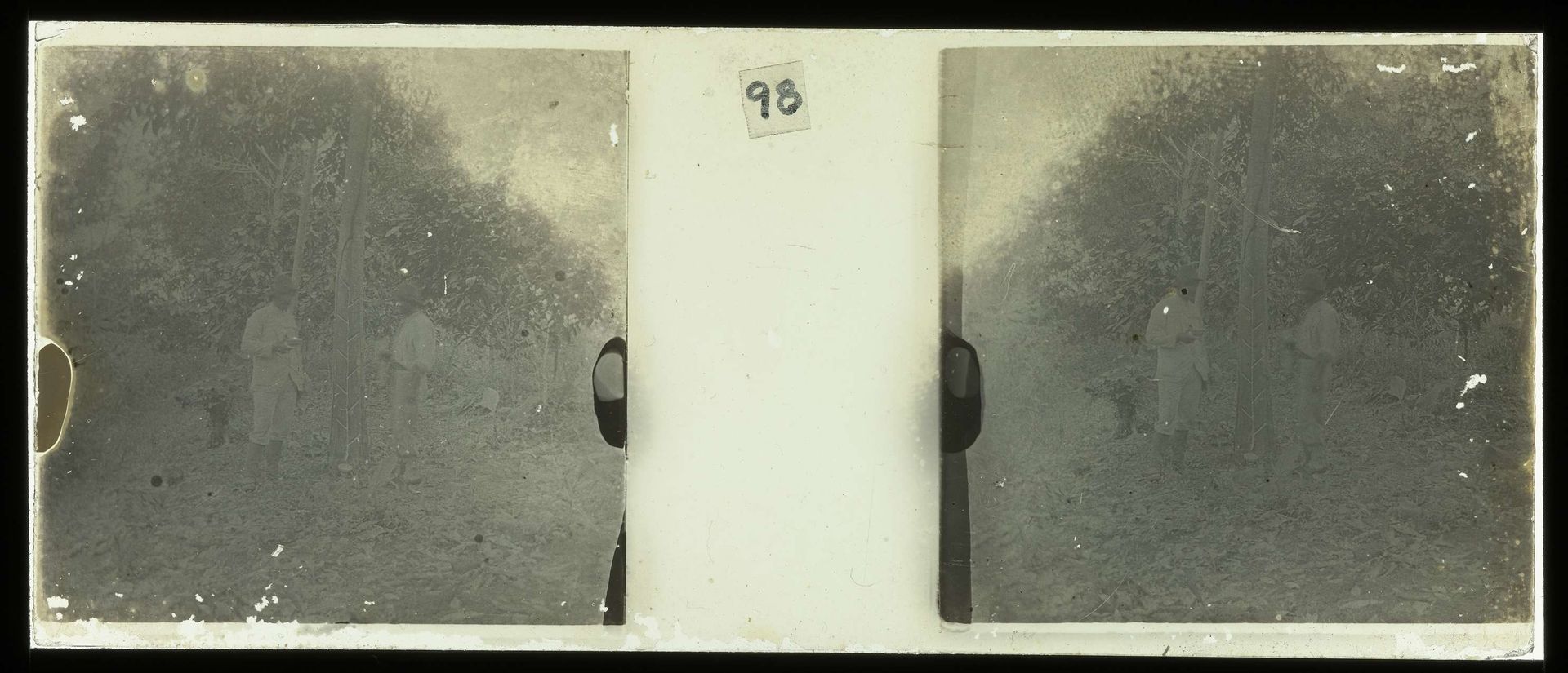 Plantage Accaribo by Theodoor Brouwers