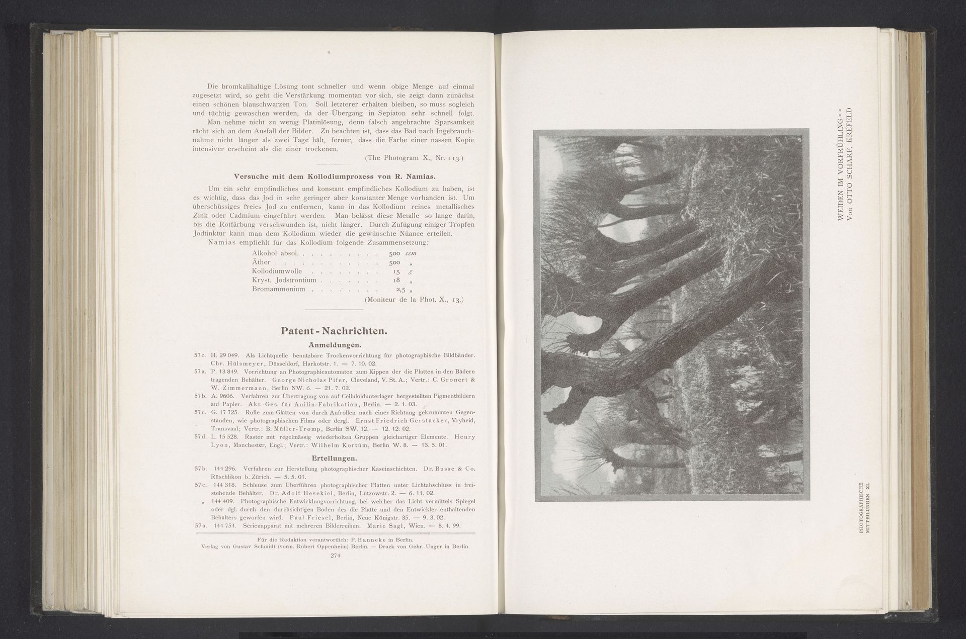Landschap met wilgen by Otto Scharf