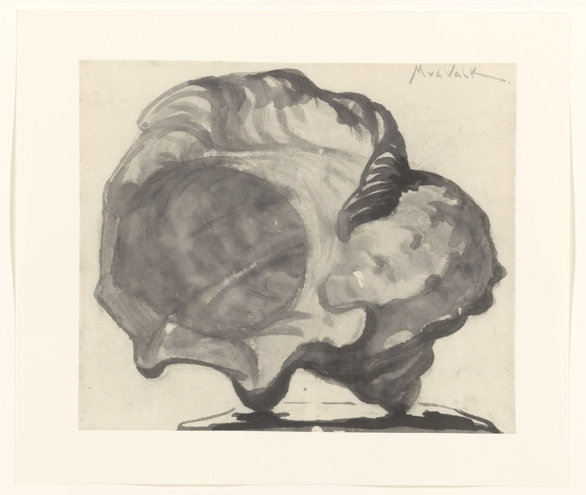 Schelp by Maurits van der Valk