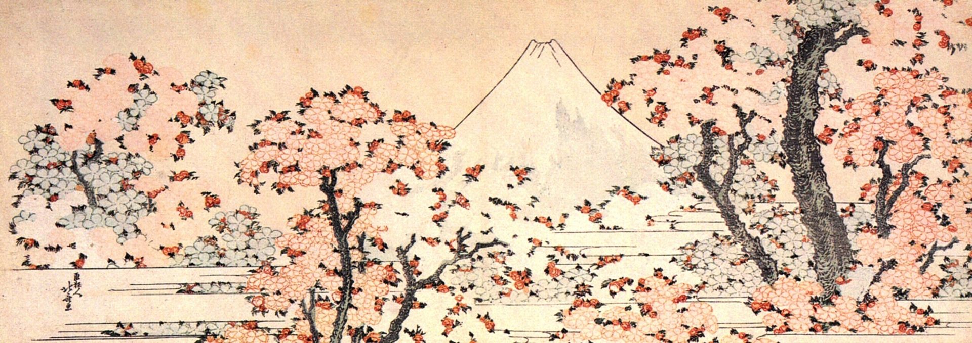 Mount Fuji seen through cherry blossom by Katsushika Hokusai