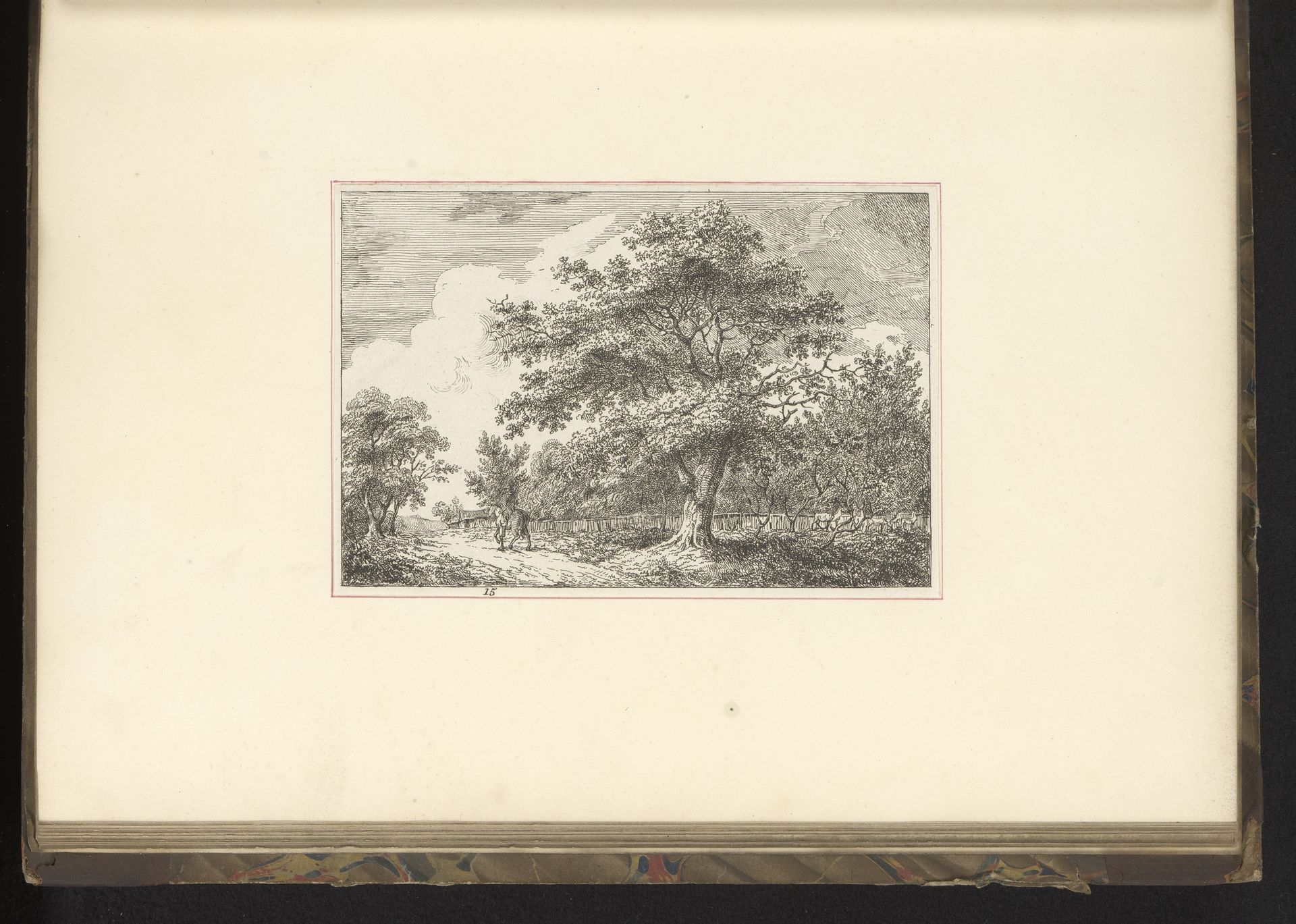 Landschap met bomen by Edward Edwards
