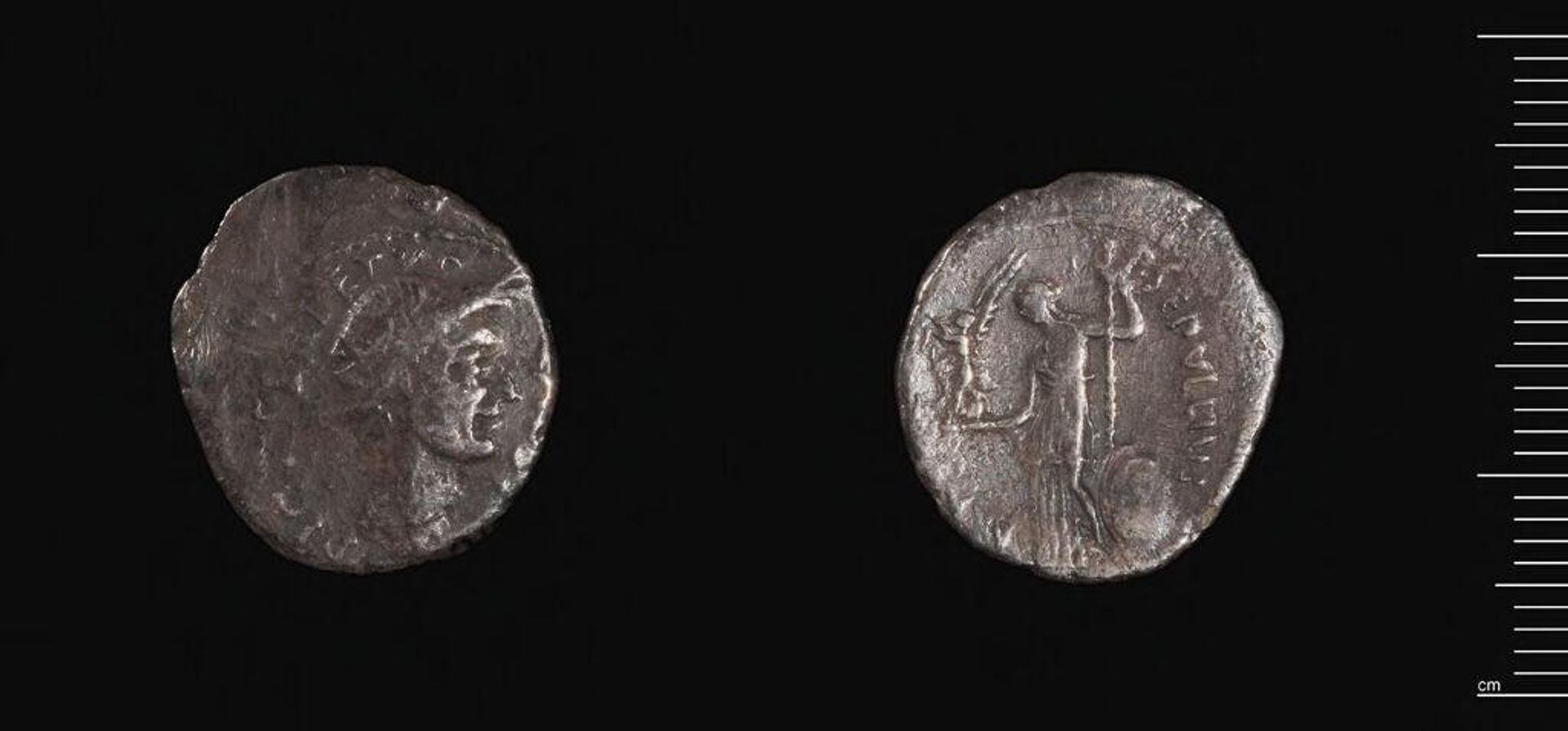 Denarius of P. Sepullius Macer, Rome by Moneyer: P. Sepullius Macer