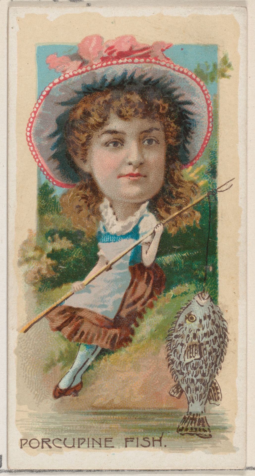 Porcupine Fish, from the series Fishers and Fish (N74) for Duke brand cigarettes by Knapp & Company