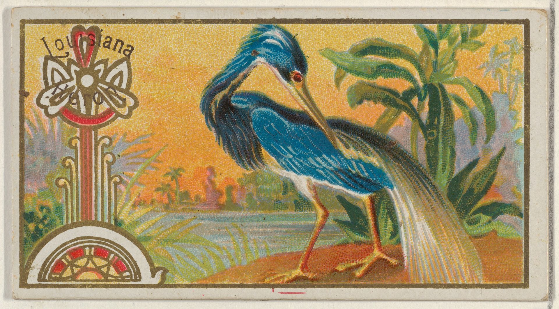 Louisiana Heron, from the Game Birds series (N13) for Allen & Ginter Cigarettes Brands by Allen & Ginter