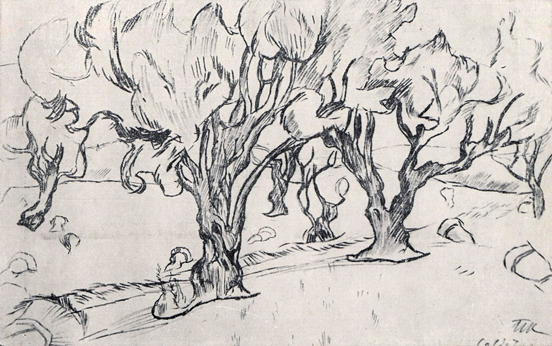 Spain. Kaldetes. Oliva. by Pyotr Konchalovsky