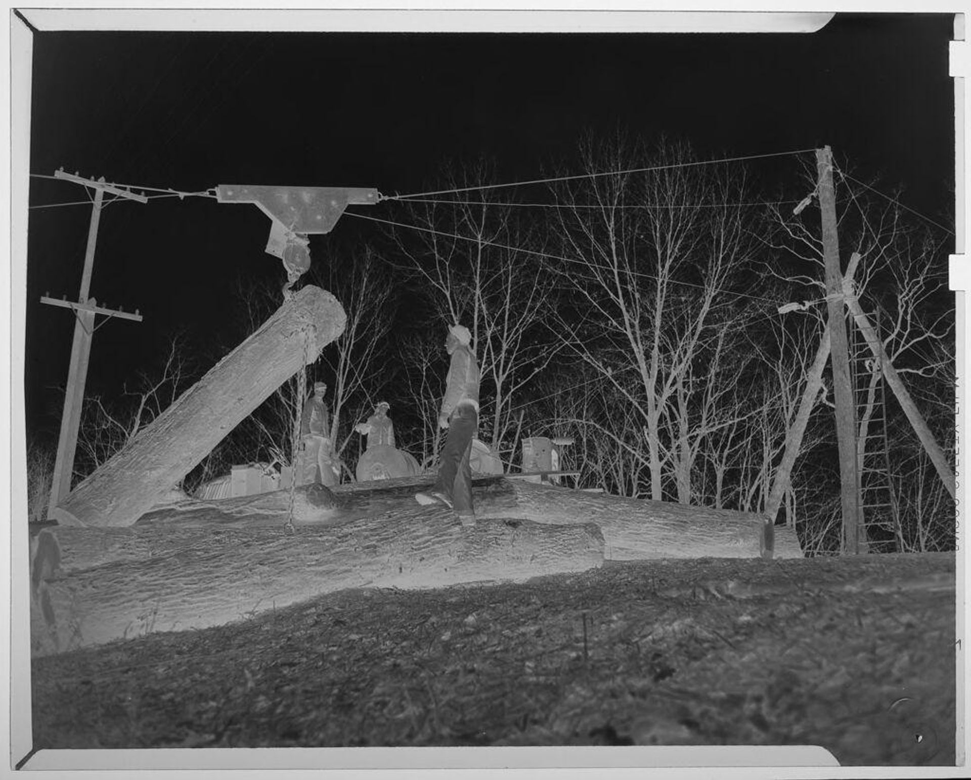 Untitled (men using high wires to cut and gather logs) by Jack Gould