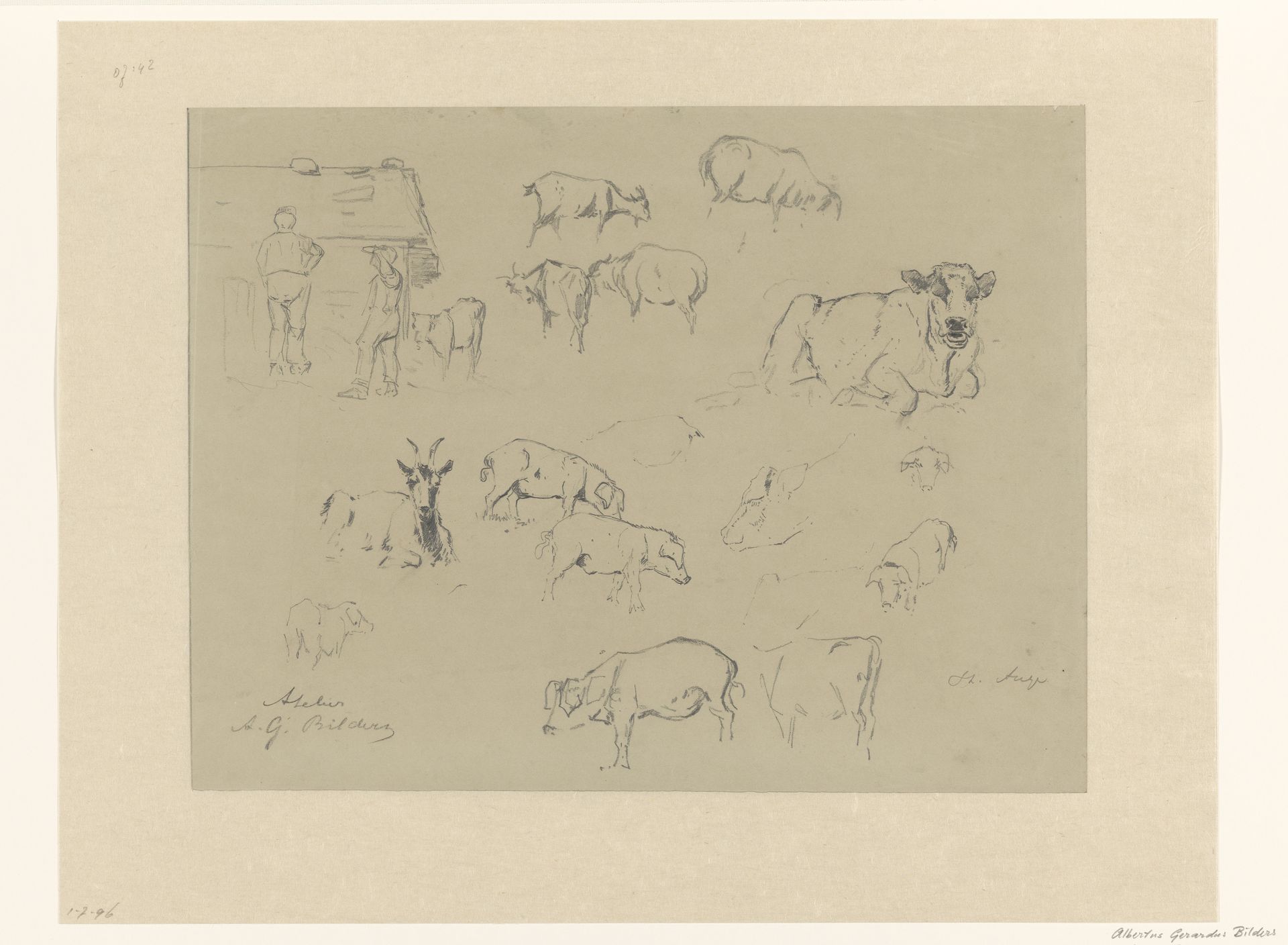Schetsblad met studies van koeien, varkens, geiten en een paar boeren by Gerard Bilders
