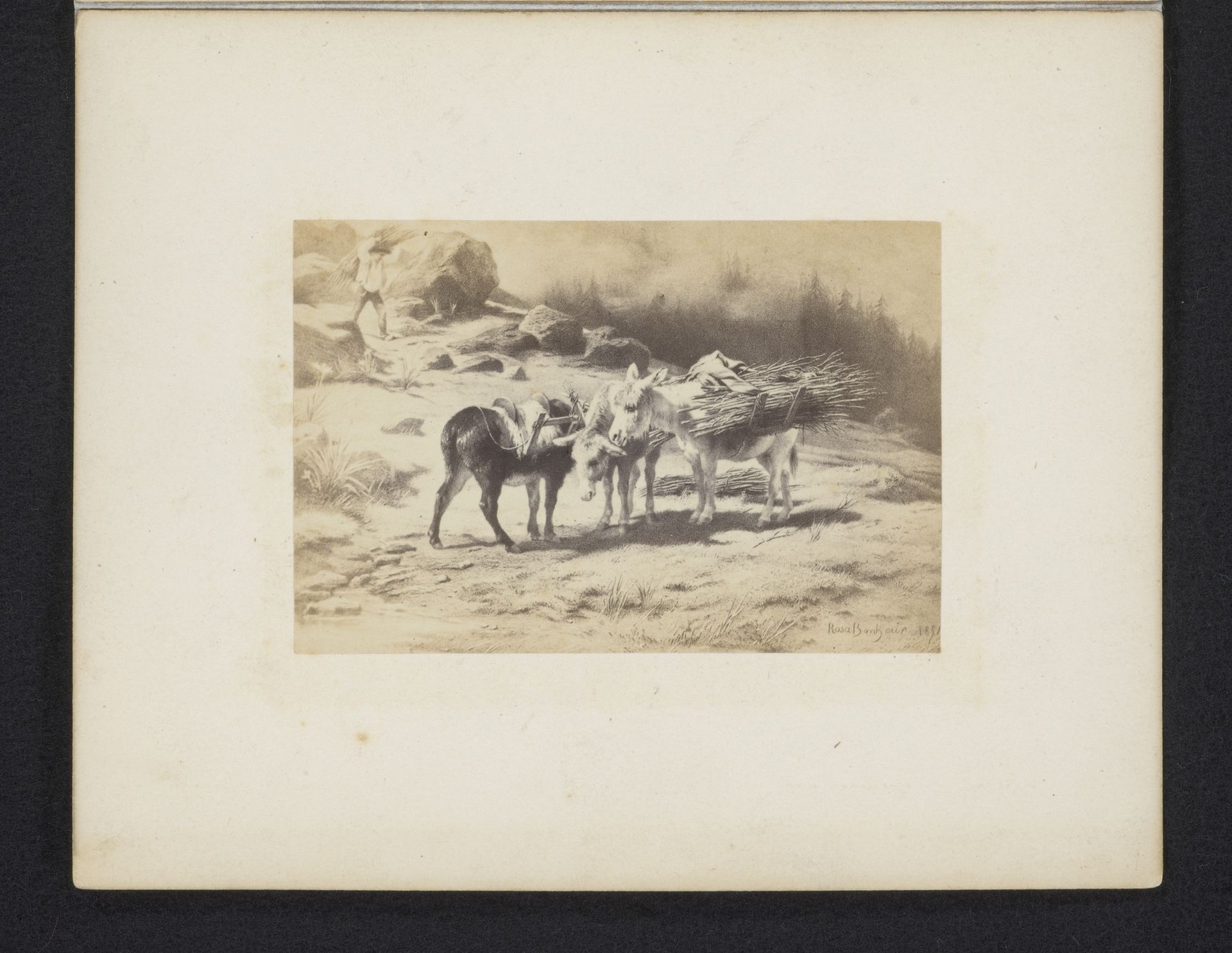 Fotoreproductie van een schilderij van Rosa Bonheur van pakezels in een berglandschap by Anonymous