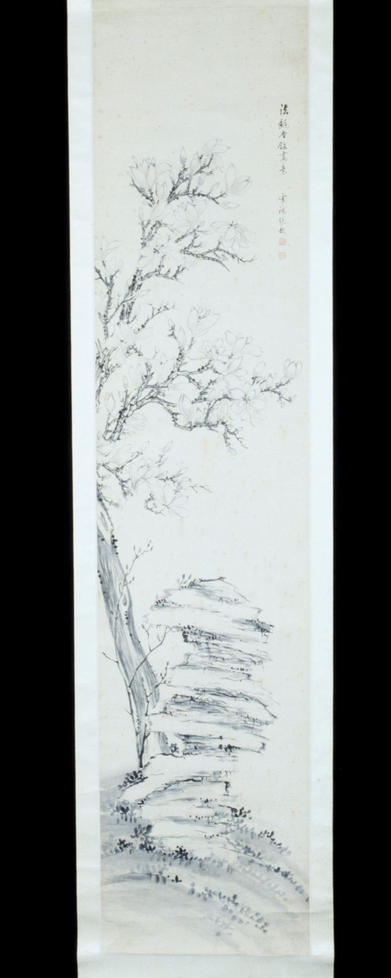 Bird and Flower by Zhang Yu