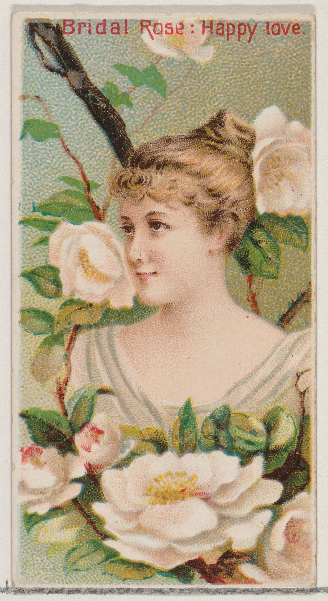 Bridal Rose: Happy Love, from the series Floral Beauties and Language of Flowers (N75) for Duke brand cigarettes by American Tobacco Company