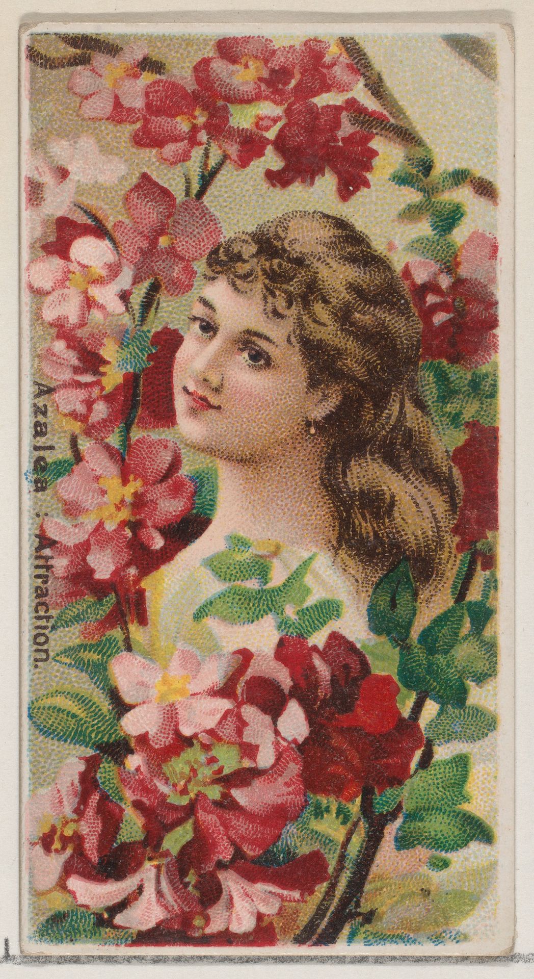 Azalea: Attraction, from the series Floral Beauties and Language of Flowers (N75) for Duke brand cigarettes by American Tobacco Company