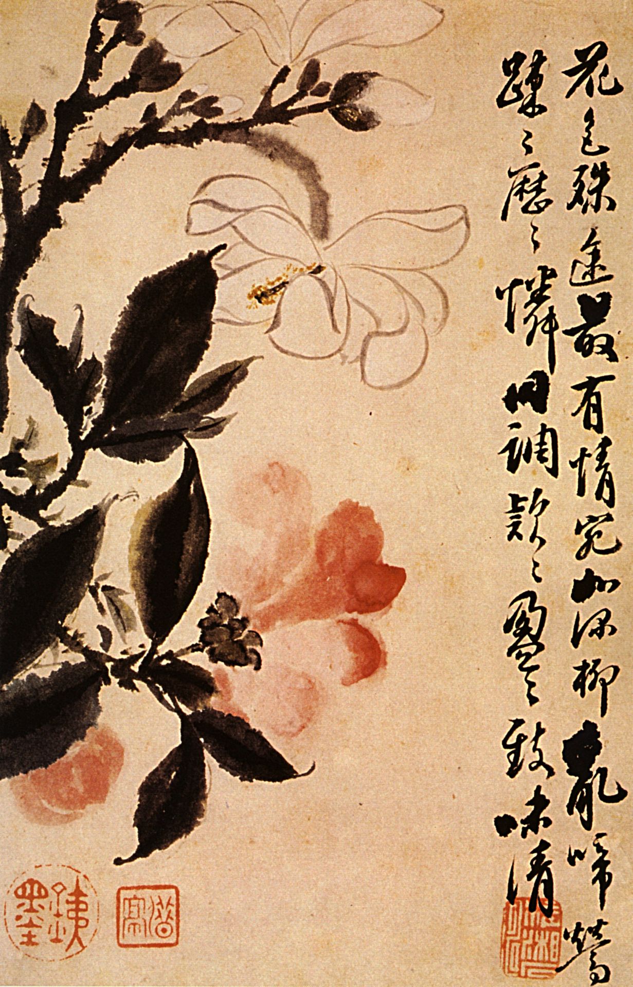 Two flowers in conversation by Shitao