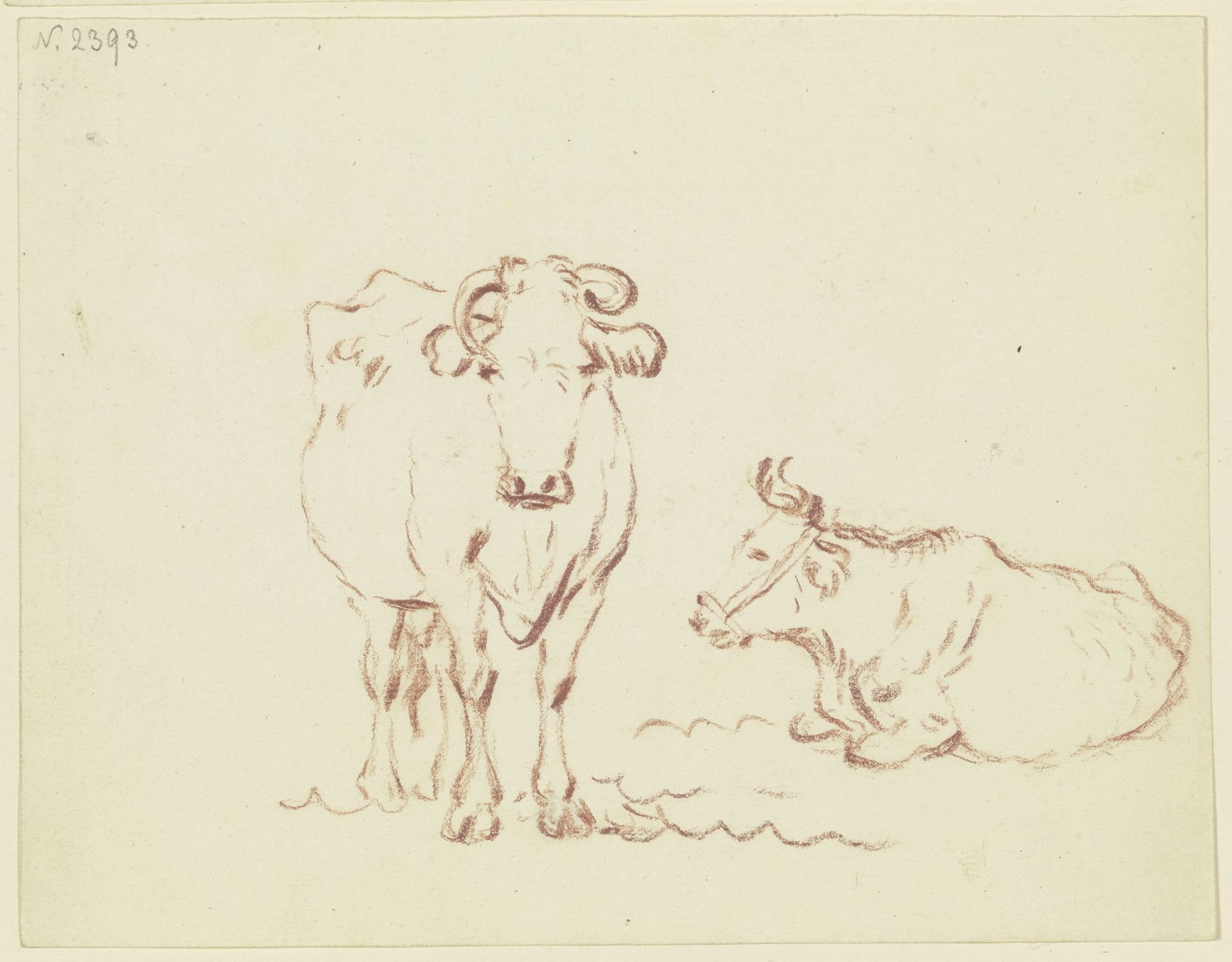 Stehende Kuh en face und ein liegendes Rind nach links by Friedrich Wilhelm Hirt