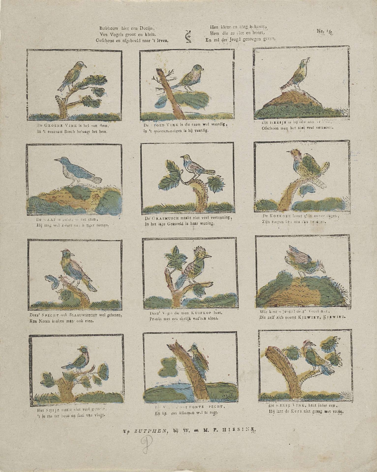 Beschouw hier een dozijn, / Van vogels groot en klein [(...)] by W. & M.P. Hissink