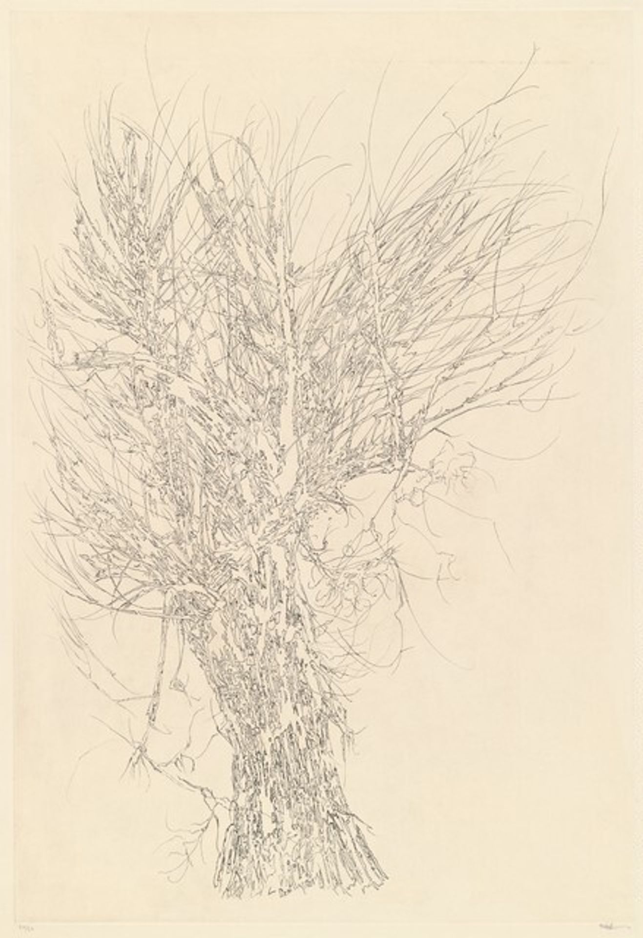 Winter Tree by Peter Takal
