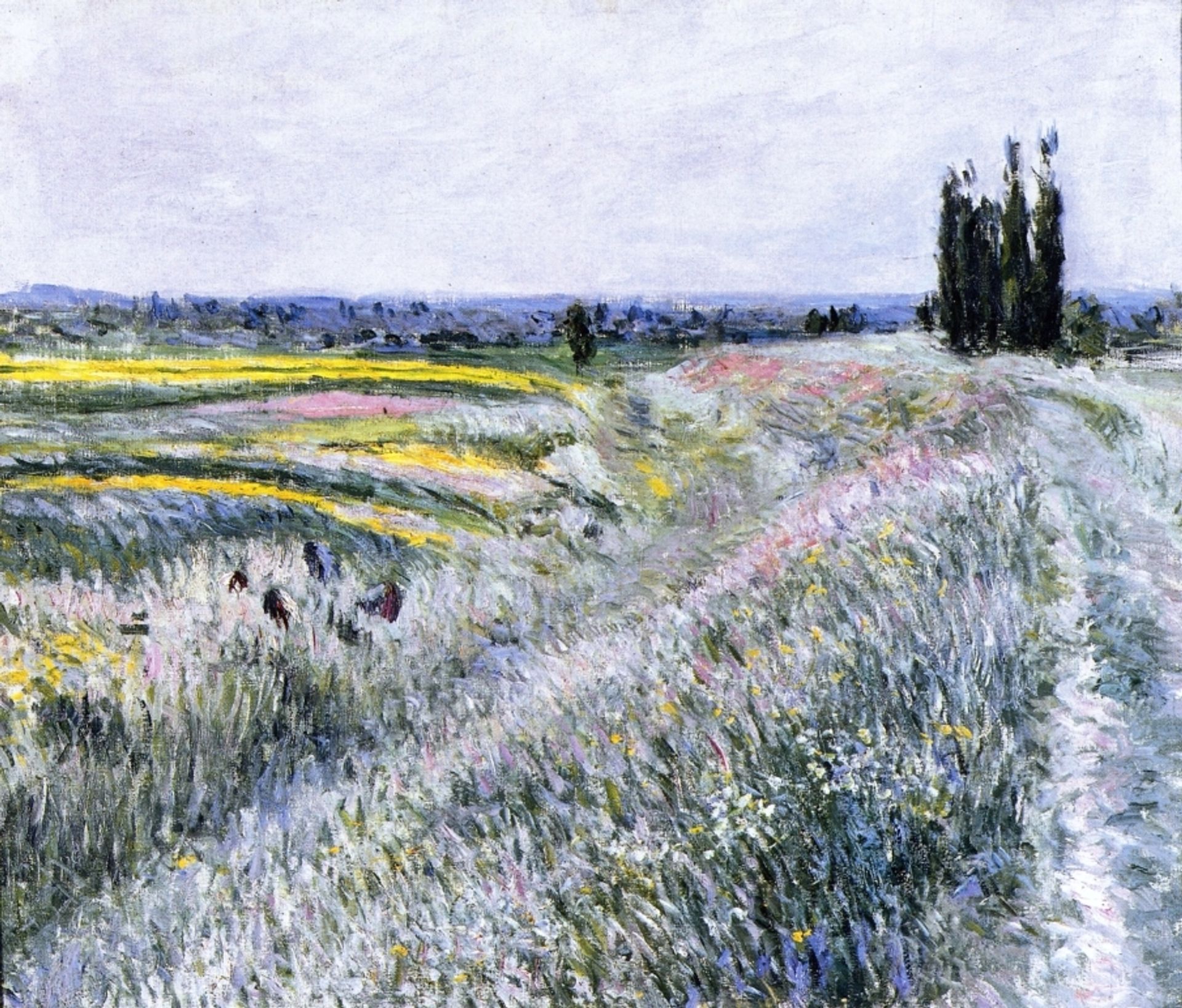 The Plain at Gennevilliers, Group of Poplars by Gustave Caillebotte