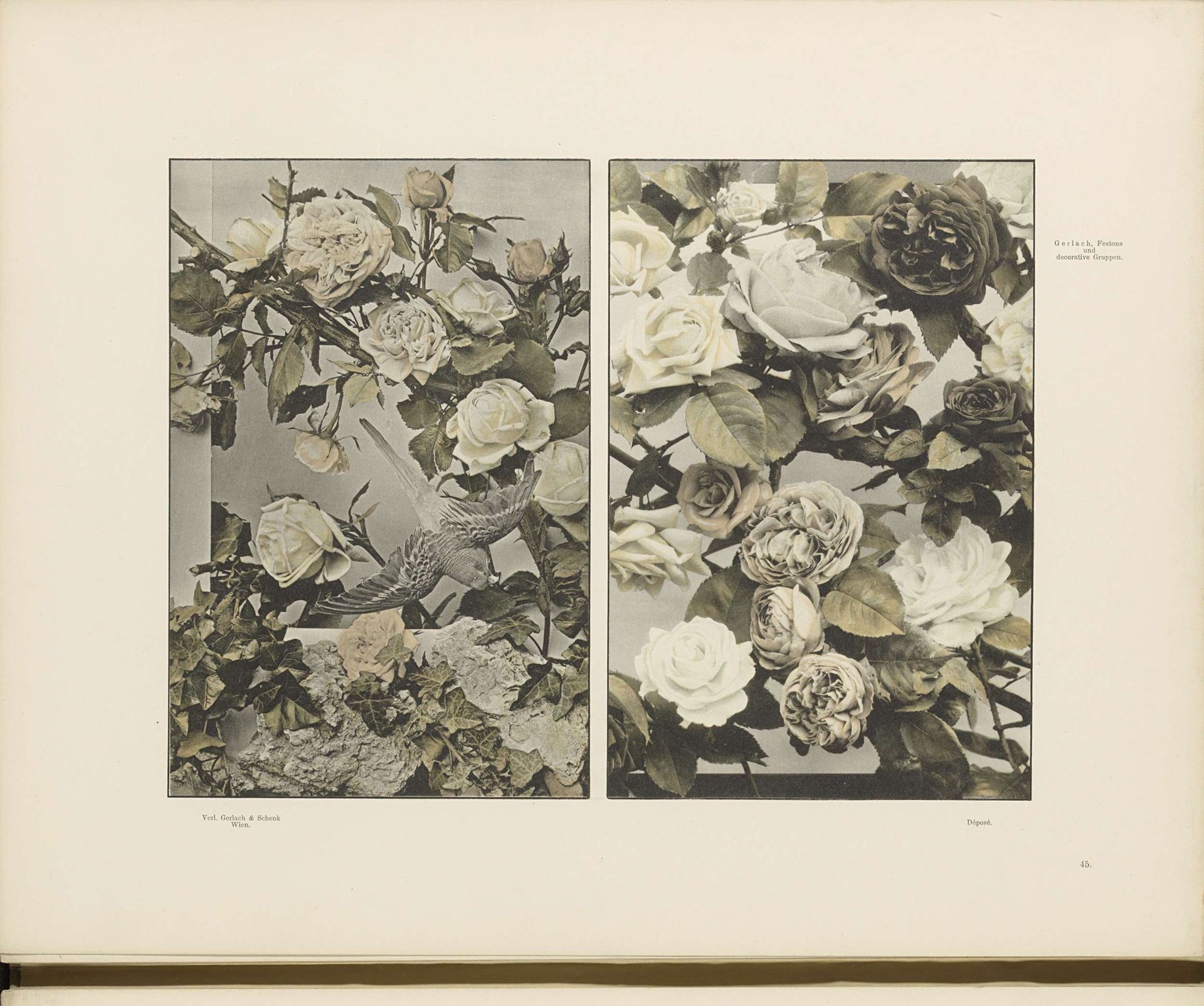 Twee decoratieve groepen met rozen, varens en een parkiet by Anonymous