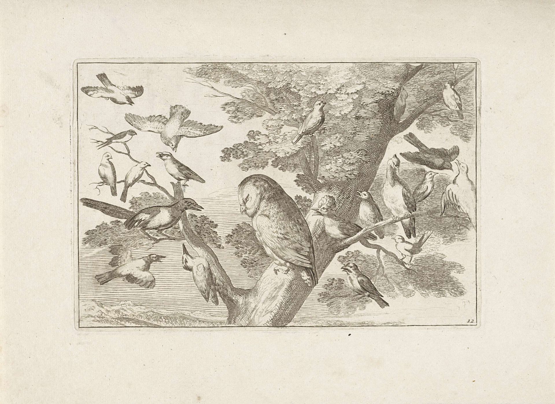 Uil en andere vogels in boom by Pieter Schenk