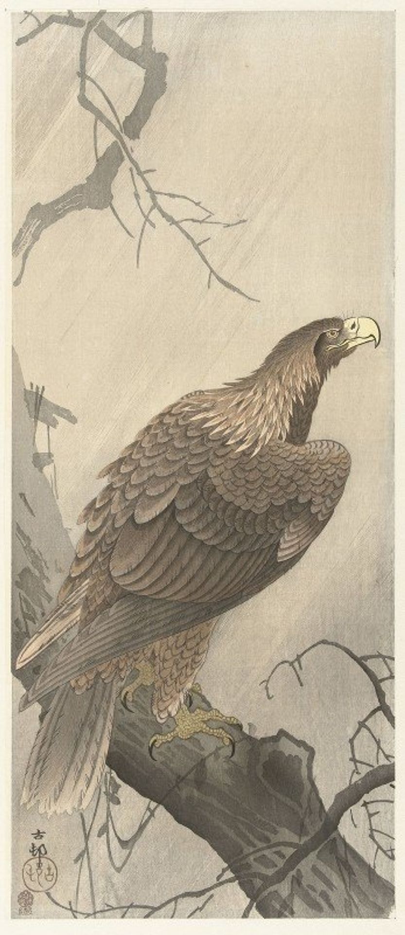 Eagle on tree branch by Ohara Koson