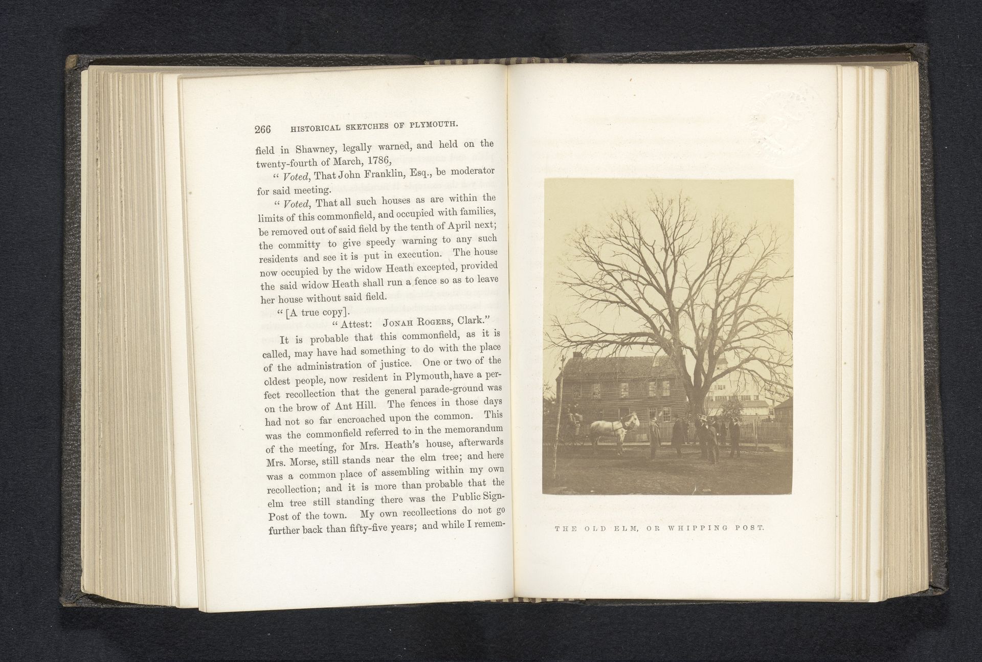 Gezicht op een groep mannen bij een iep by William H. Schurch