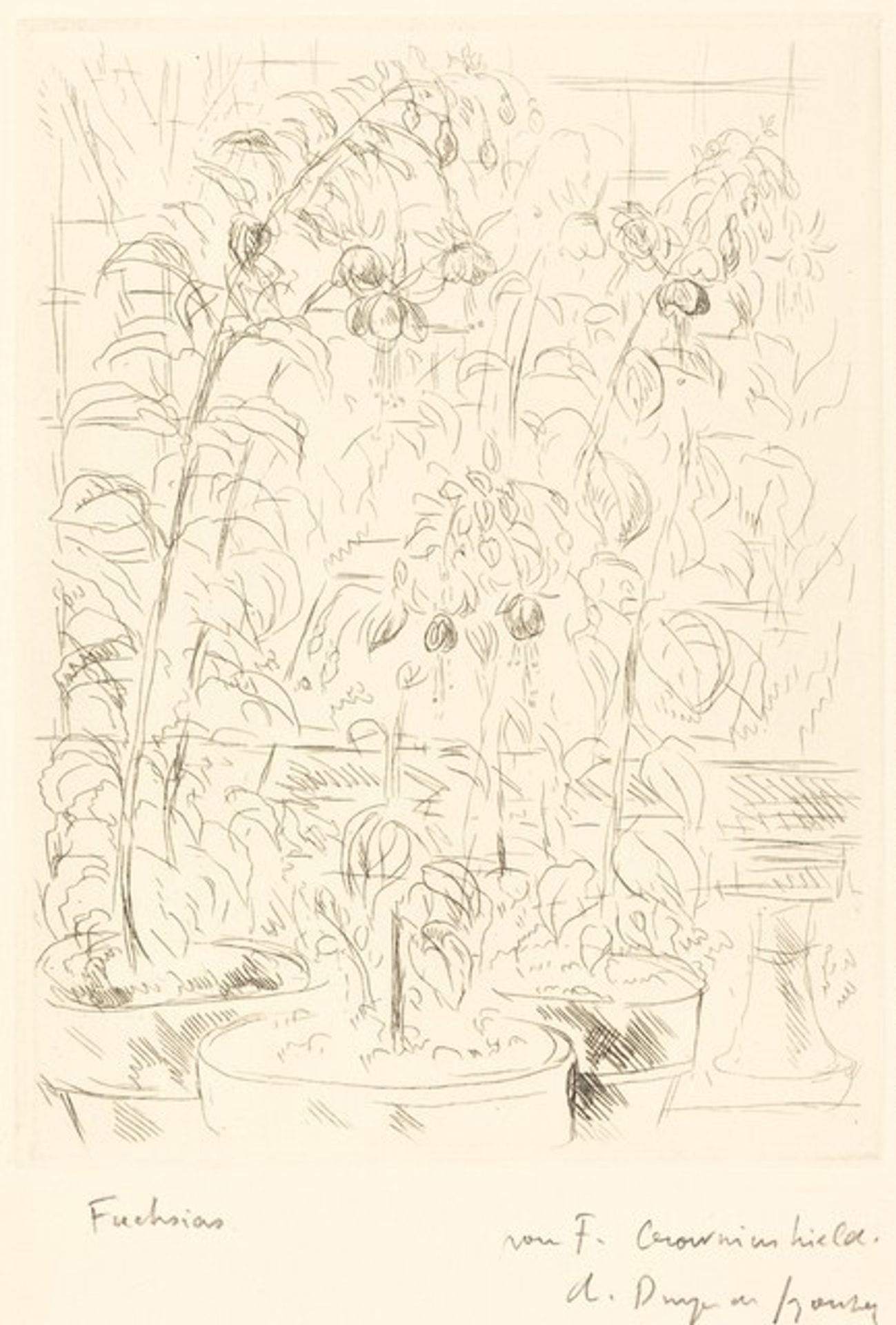 Fuchsias by Andre Dunoyer de Segonzac