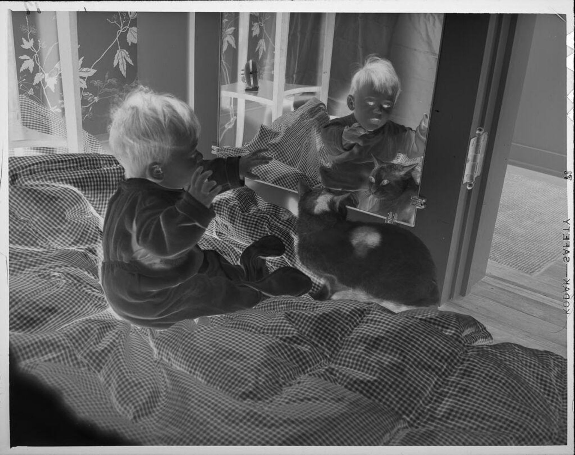 Untitled (baby and cat in front of mirror) by Lucian and Mary Brown