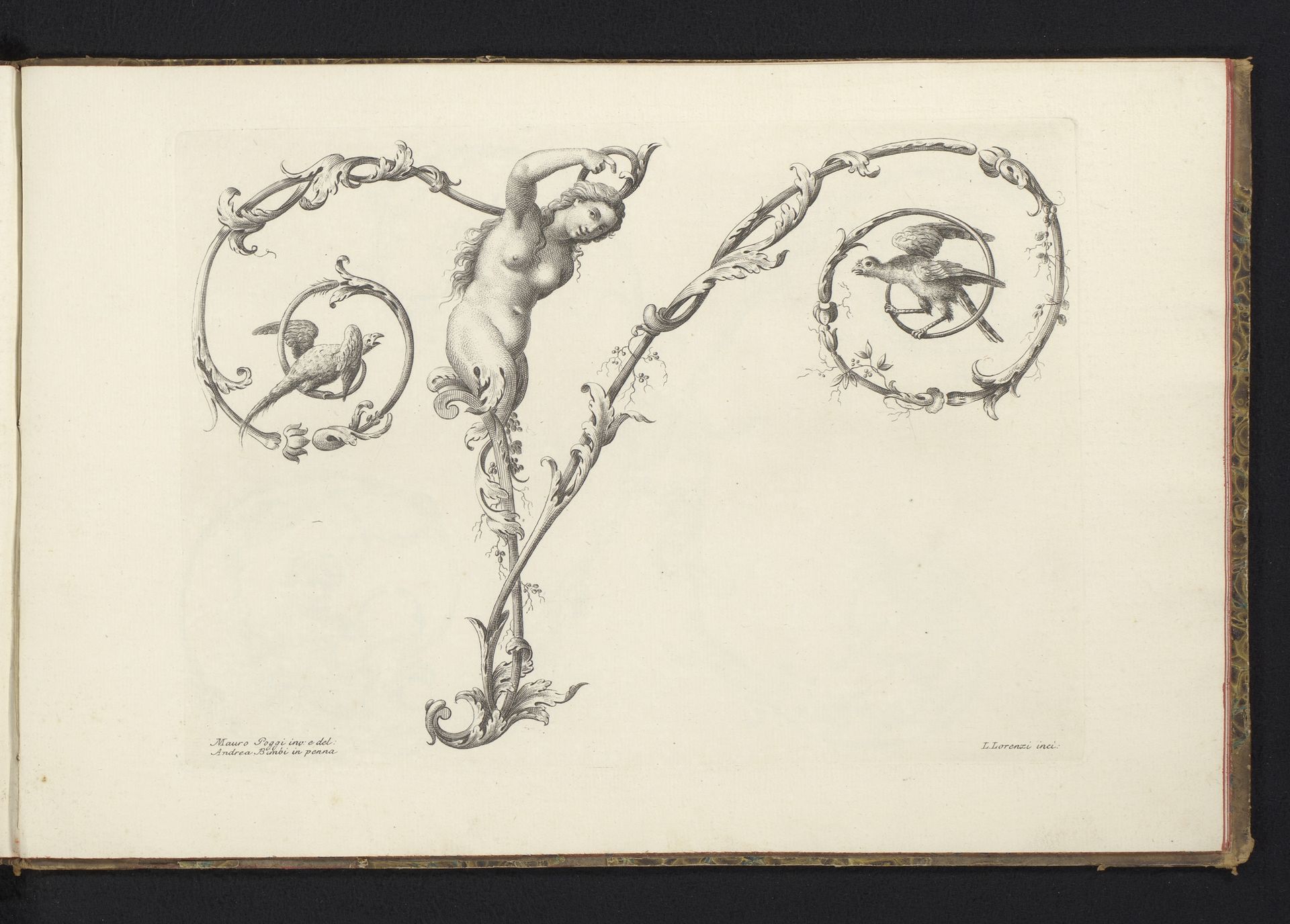 Ornamentele letter V by Lorenzo Lorenzi