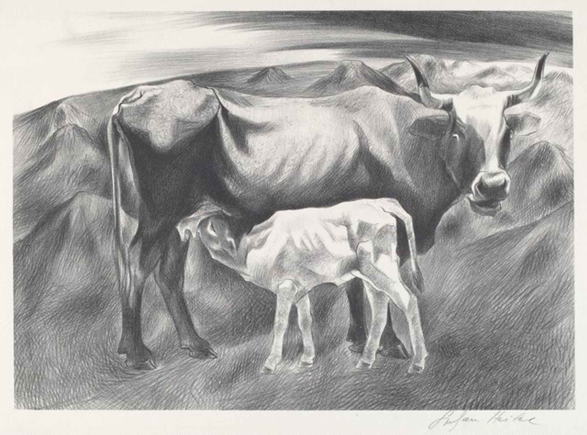 Cow and Calf by Stefan Hirsch