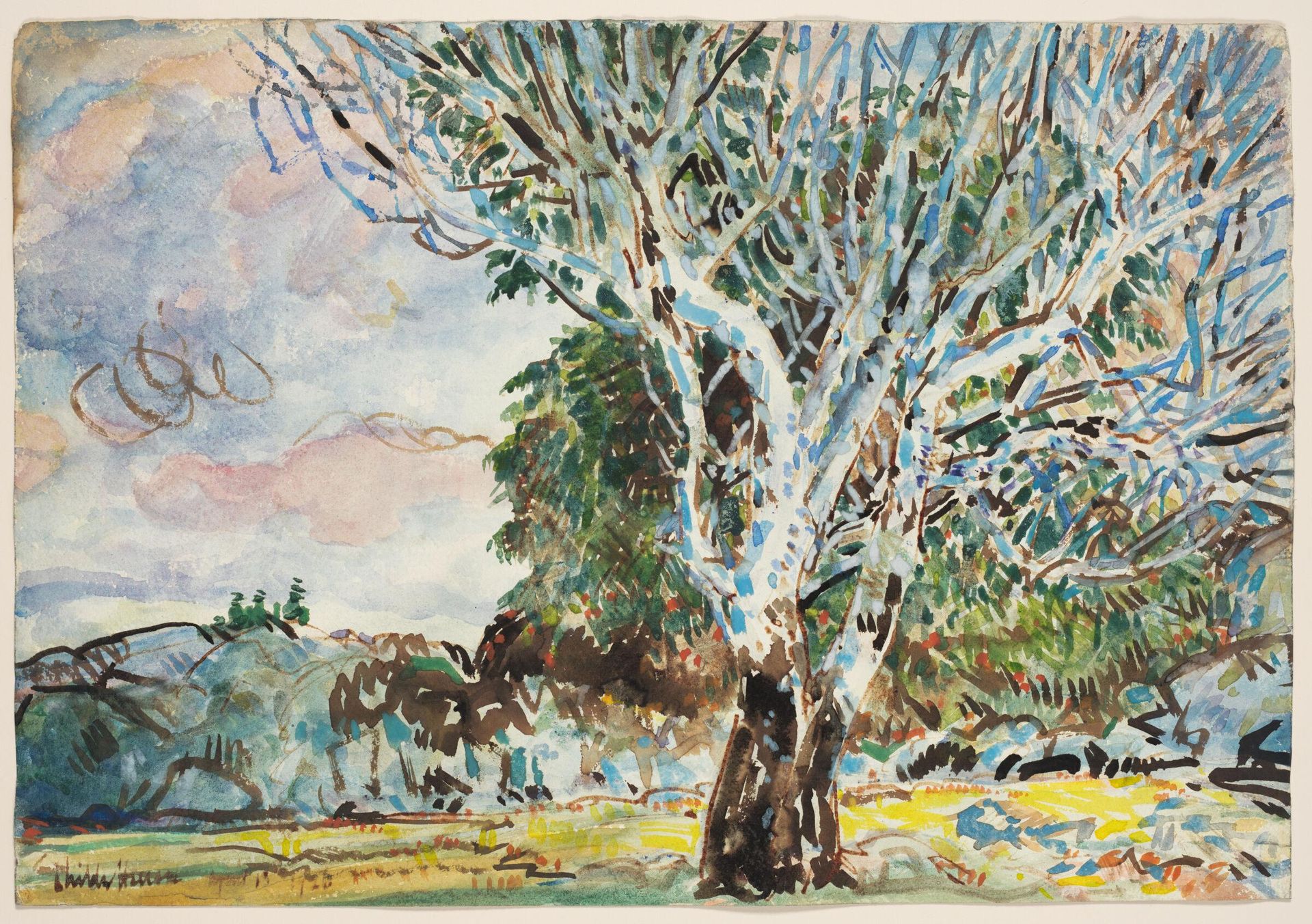 Big Sycamore, Harper's Ferry by Childe Hassam