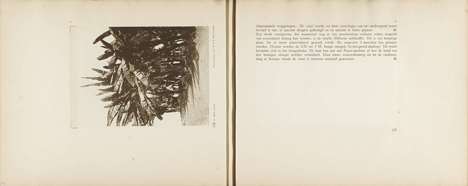 Pagina 126 en 127 van fotoboek van de Algemeene Vereeniging van Rubberplanters ter Oostkust van Sumatra (A.V.R.O.S.) by J.W. Meyster