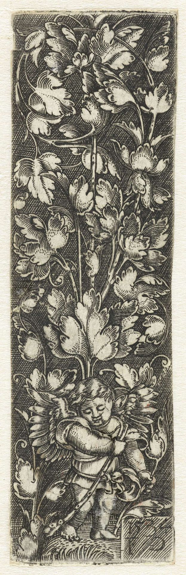 Ornament met putto met knots by Monogrammist FG