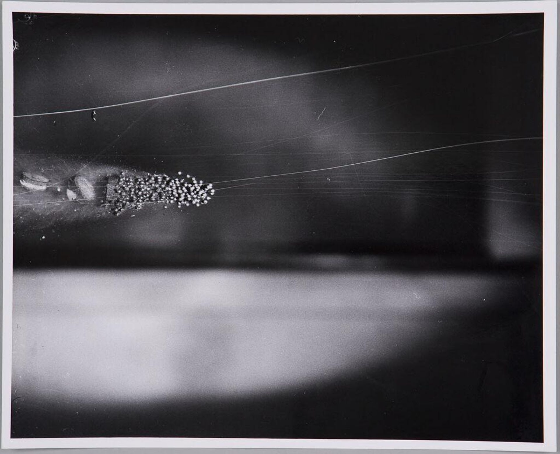 Pellets from Shotgun by Harold Edgerton